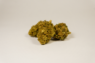 Lemon haze pour 5 grammes